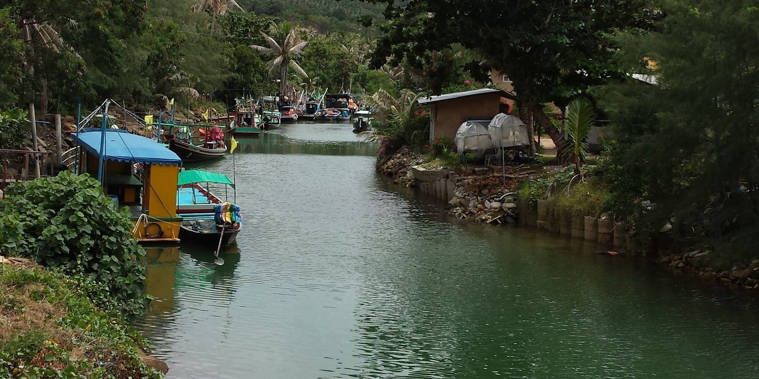 Amanda Marchant banner