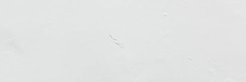 actlkim's profile banner image