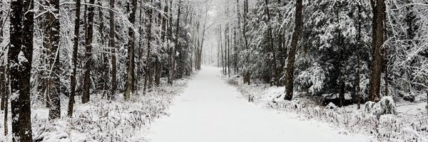 JoshRosner Profile Banner