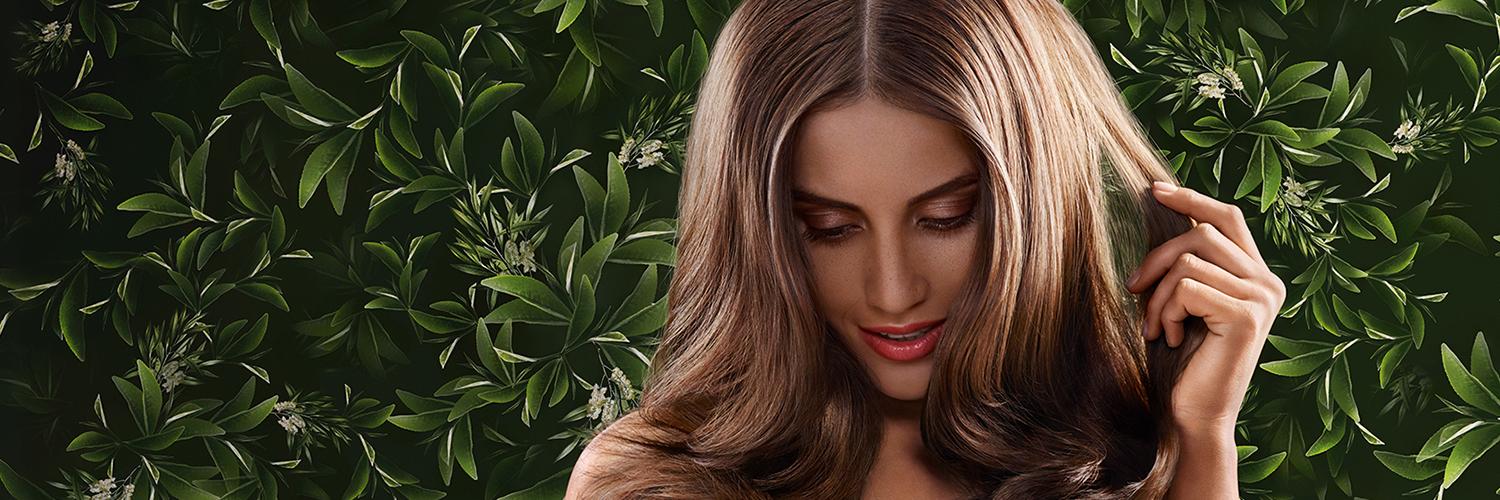 PhytoIran's profile banner image
