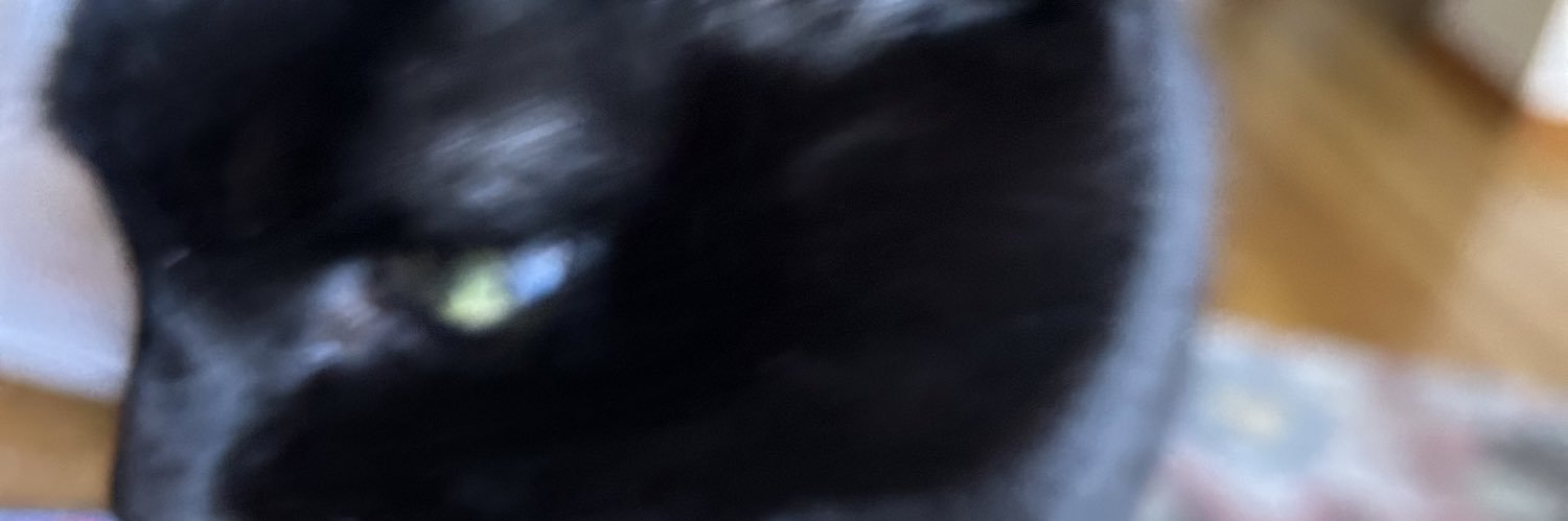 YOY banner
