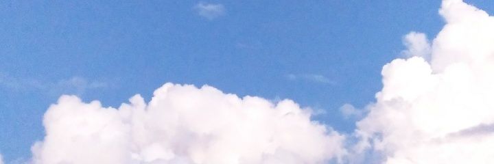 LithaSamasae's profile banner image