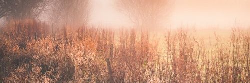slowdermo's profile banner image