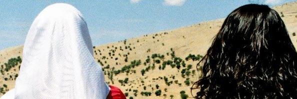 Yol's banner