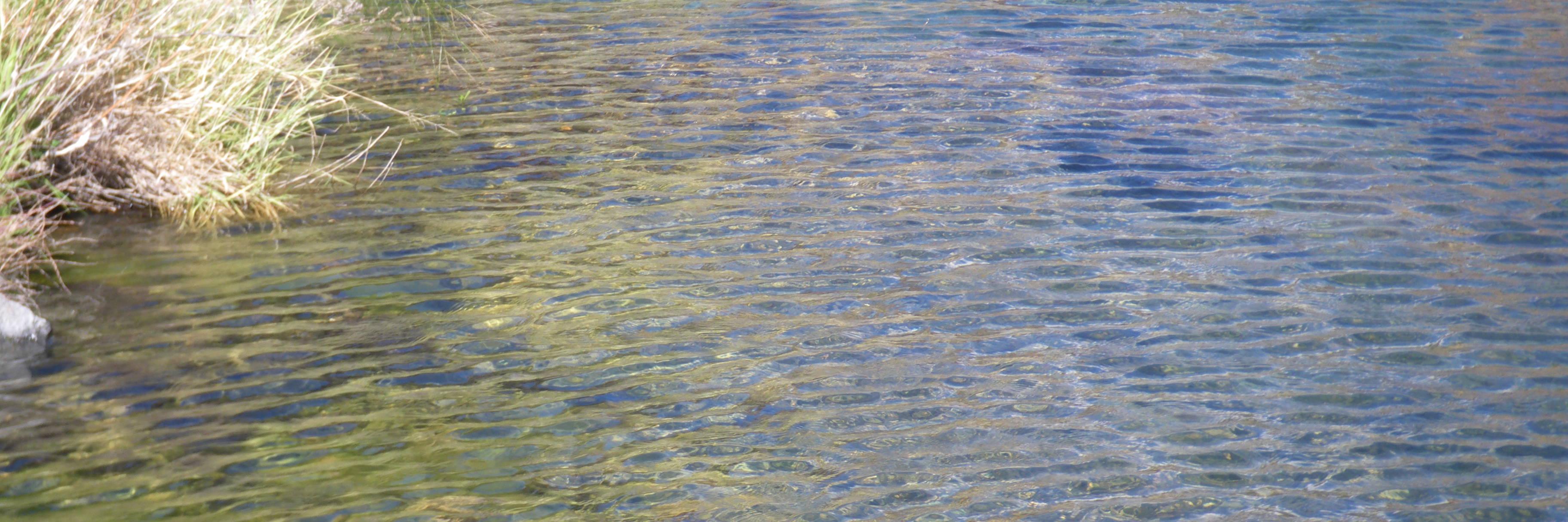 Bicacara's profile banner image