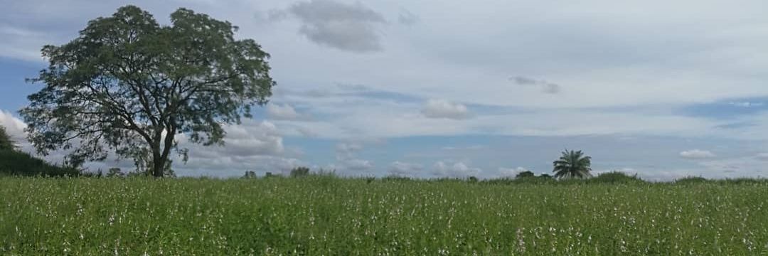 AAIsodje's profile banner image