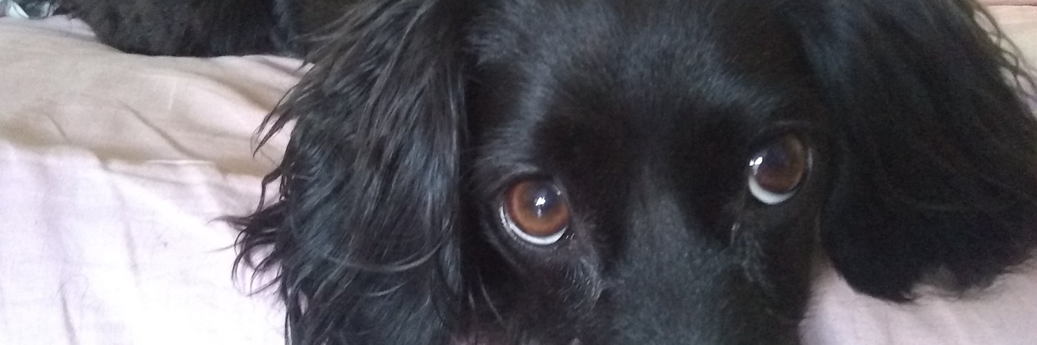 Agustina_Mateo7's profile banner image