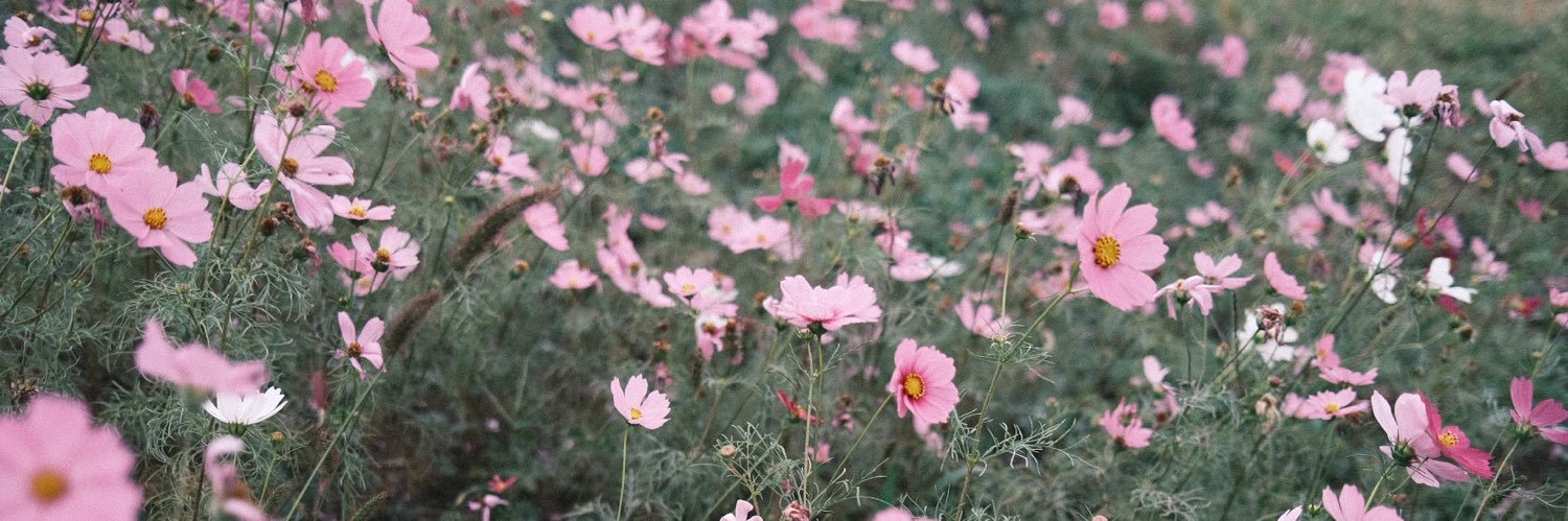 alwayspottsun's profile banner image