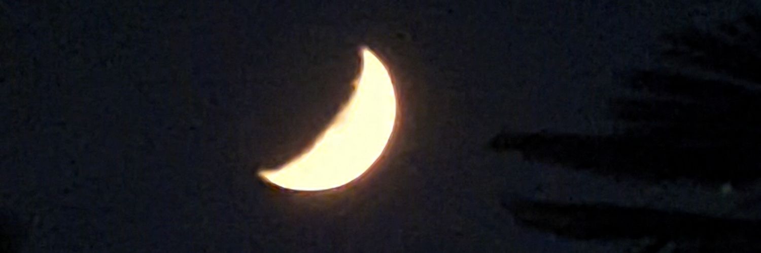 antitozier's profile banner image