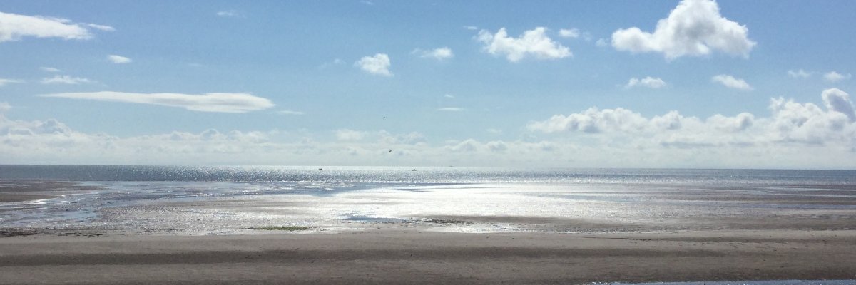 derekallan_2210's profile banner image