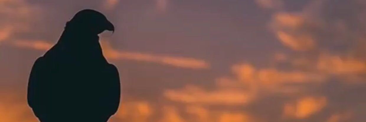 fafaz_8181's profile banner image