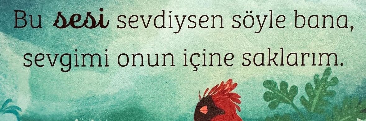 ebrucopurlu's profile banner image