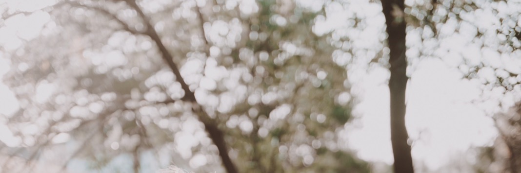 pay_nix's profile banner image