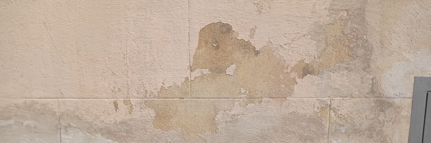 Ayurvedable's profile banner image