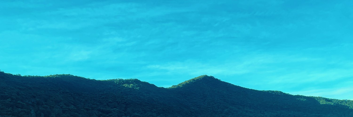 bitchesse's profile banner image