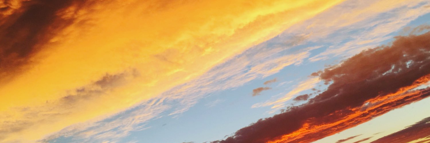 LizaMunson's profile banner image