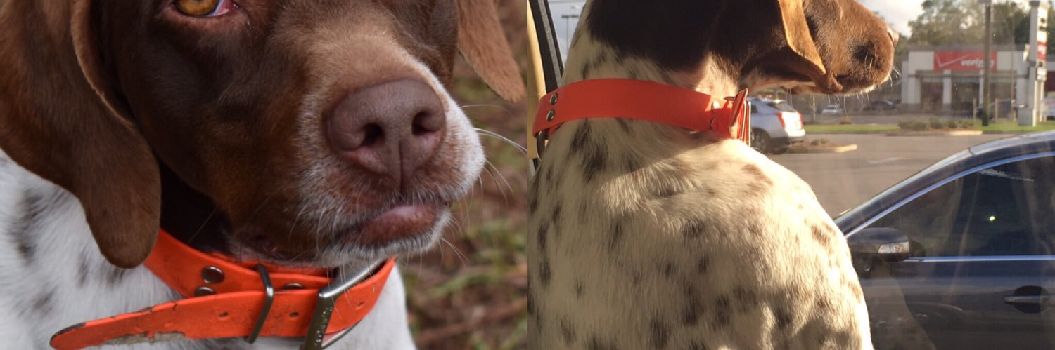 Joe Albright 🇺🇦🌻🟧🟦 banner