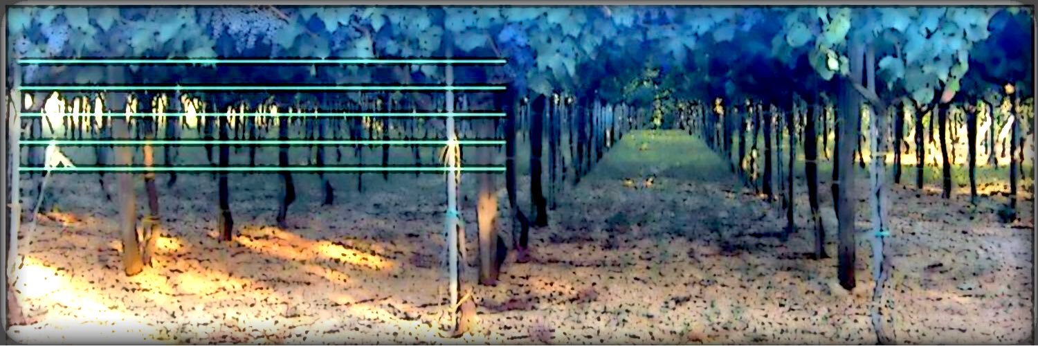 tre_Isabel's profile banner image
