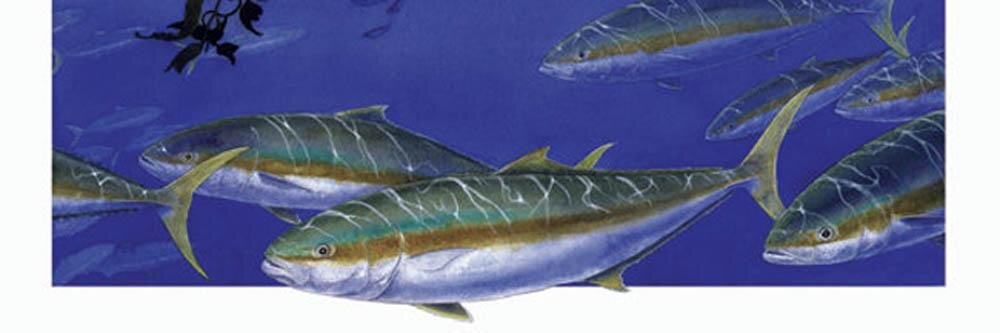 Keith Lambert banner