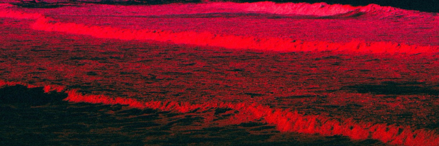 plants3401's profile banner image