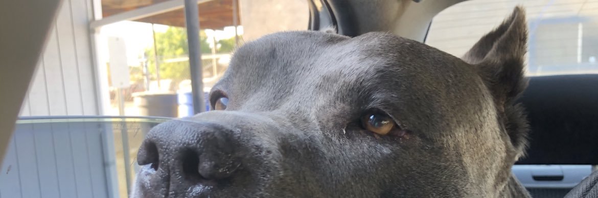 cuhhline's profile banner image