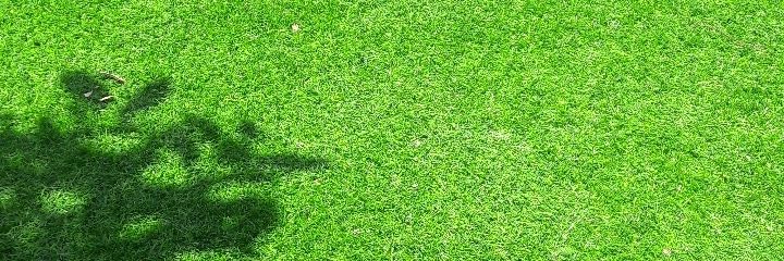 ishafee's profile banner image