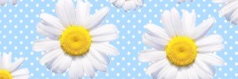 mentarielsbth's profile banner image