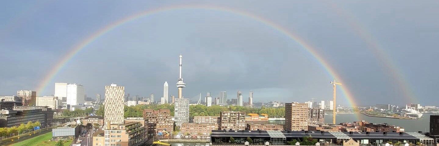 💙🌻🦸🏻🕊 💚 banner