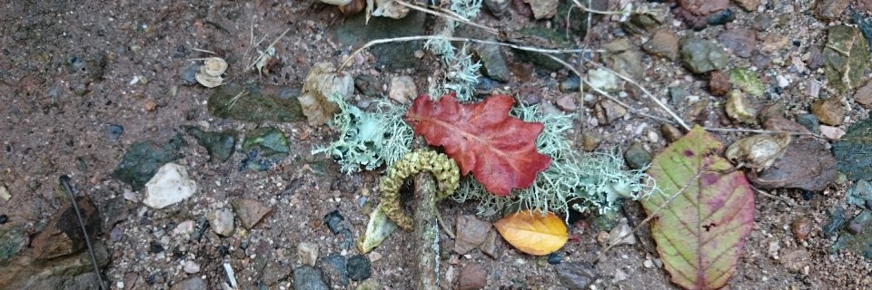 creative journeys banner