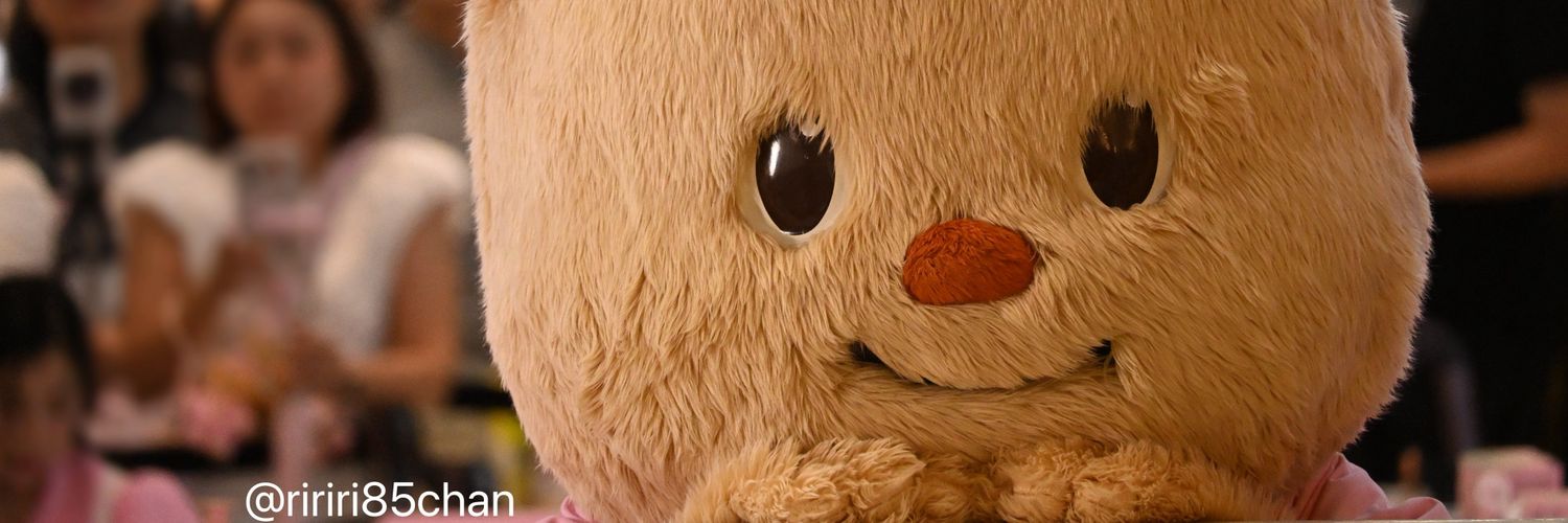🐷 p e r j e r 🐷 banner