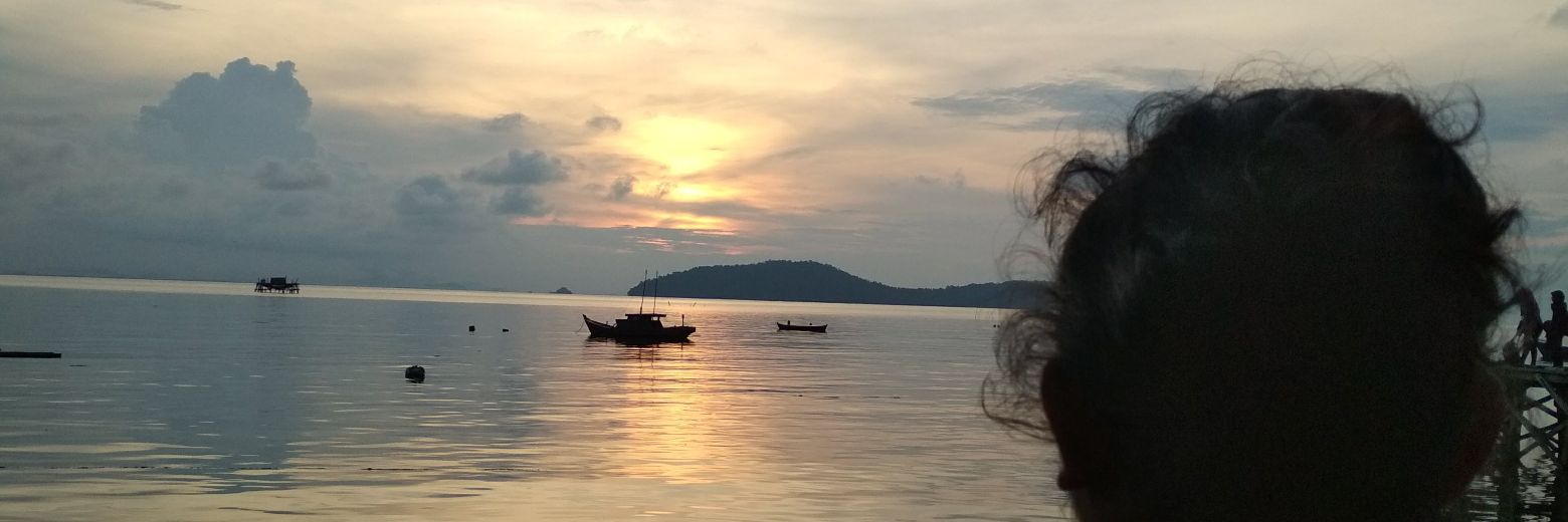 bonahemian's profile banner image
