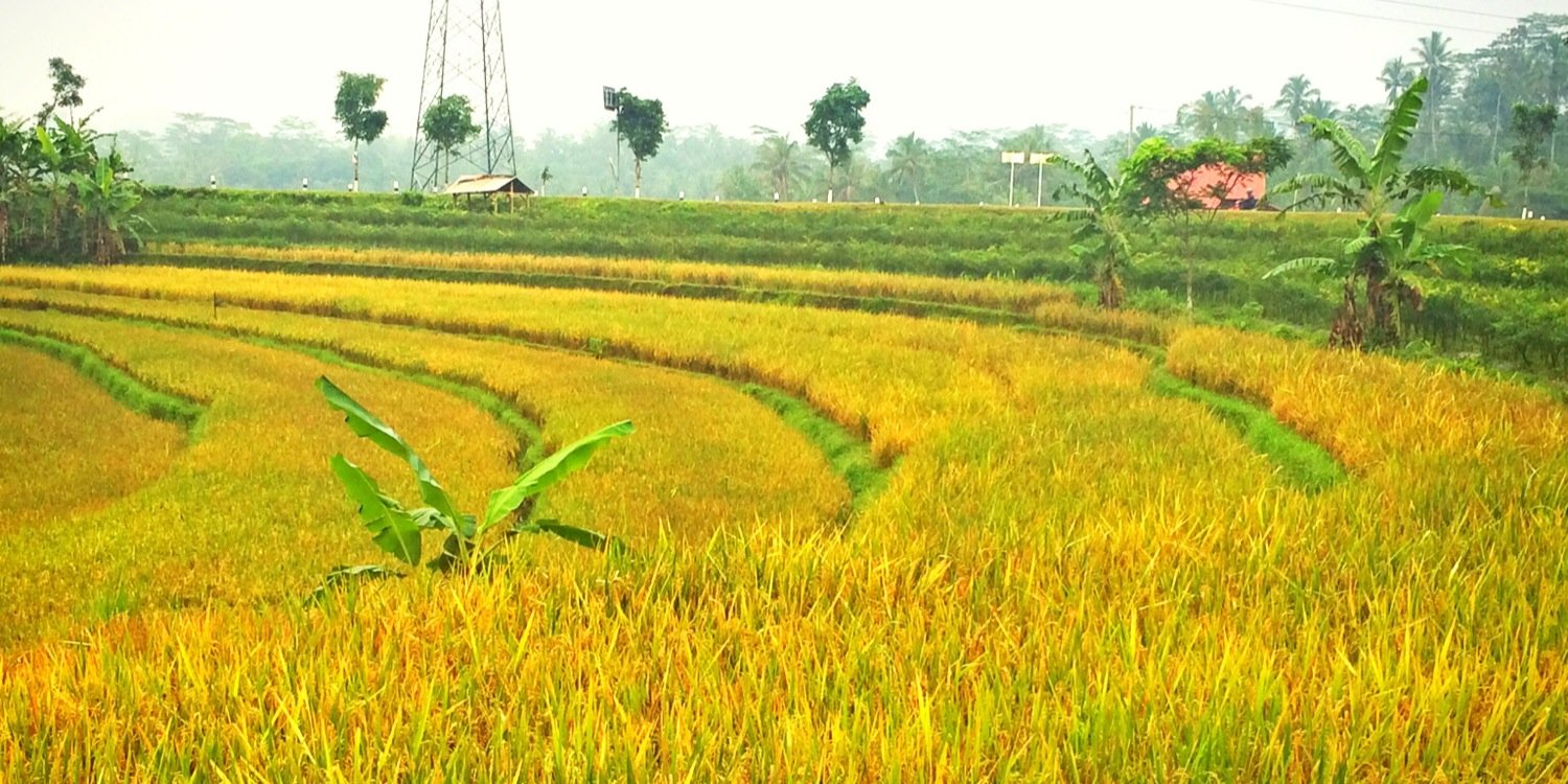 JogjaYogya's profile banner image