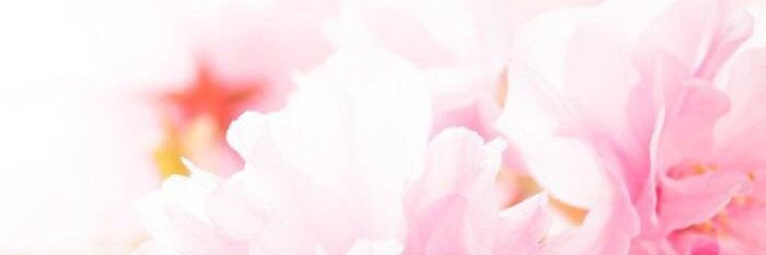 026_Cherry's profile banner image