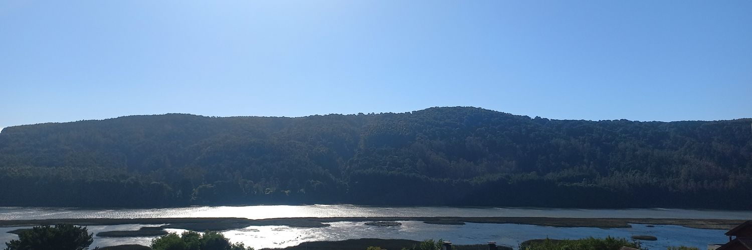 XueSur's profile banner image