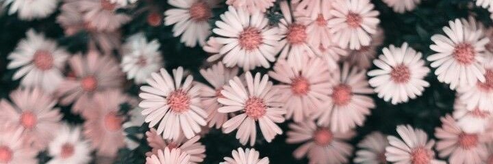 SNmpz's profile banner image