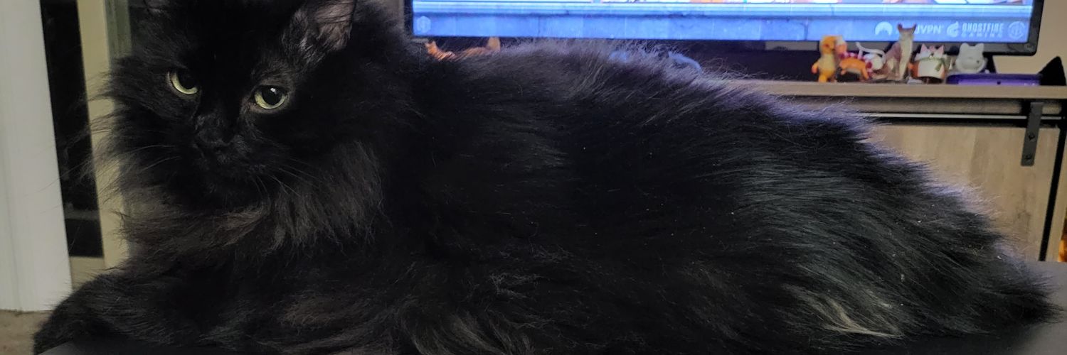 CavTheFox's profile banner image