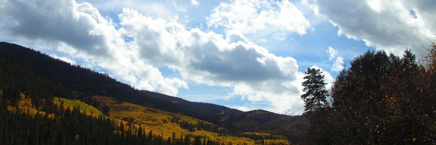 TomDCR's profile banner image