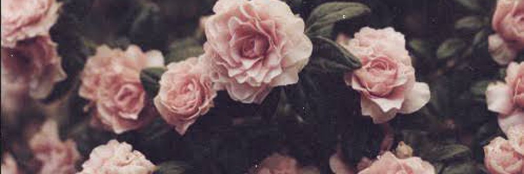 AlainaNicoleee's profile banner image