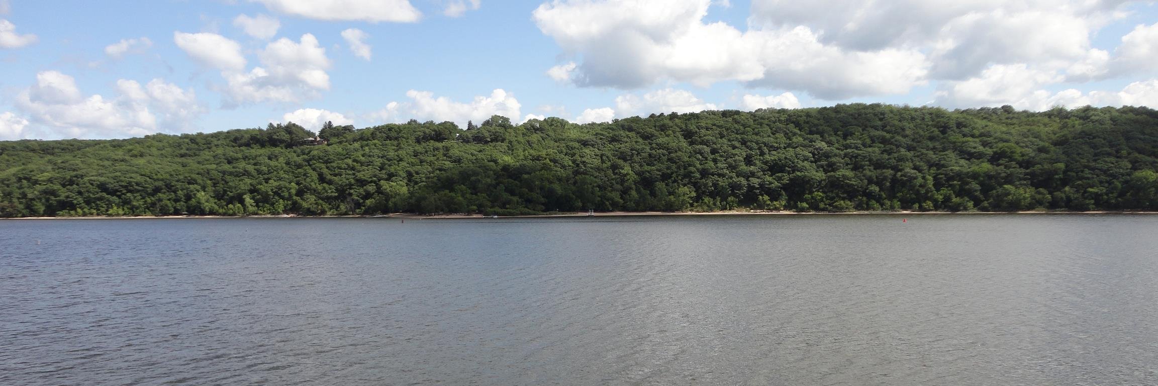 Alexandra Chapman banner