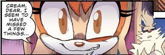 Sammy banner