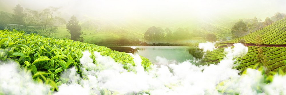 diggywillam's profile banner image