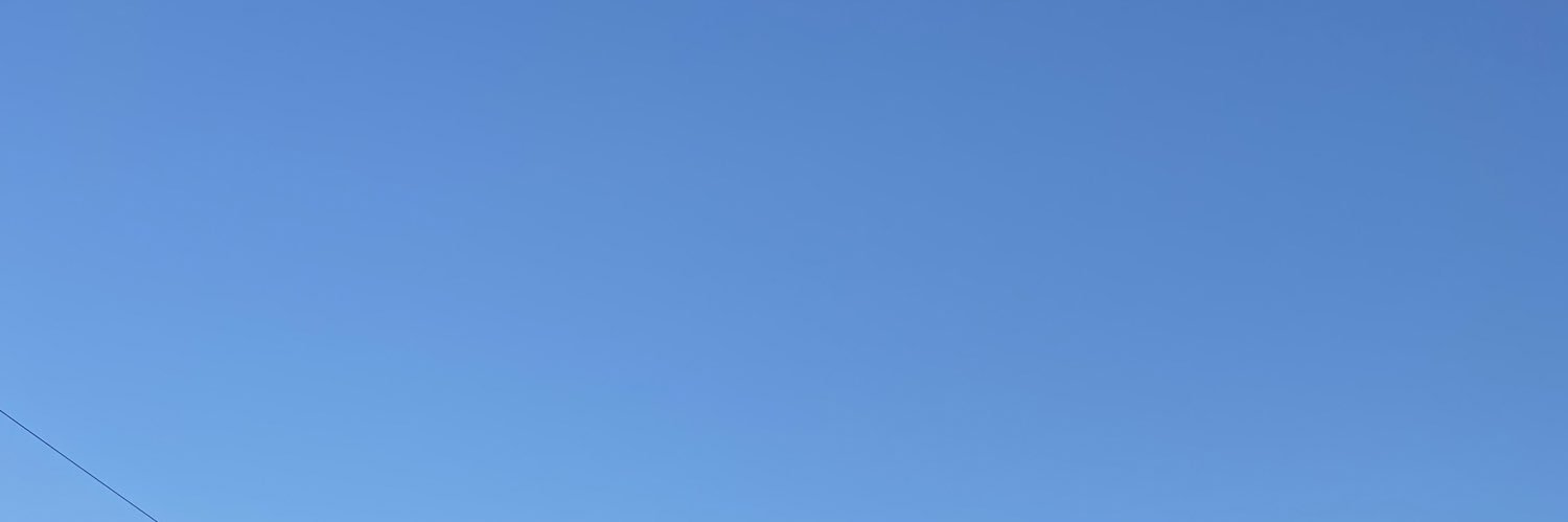 larissadtt's profile banner image