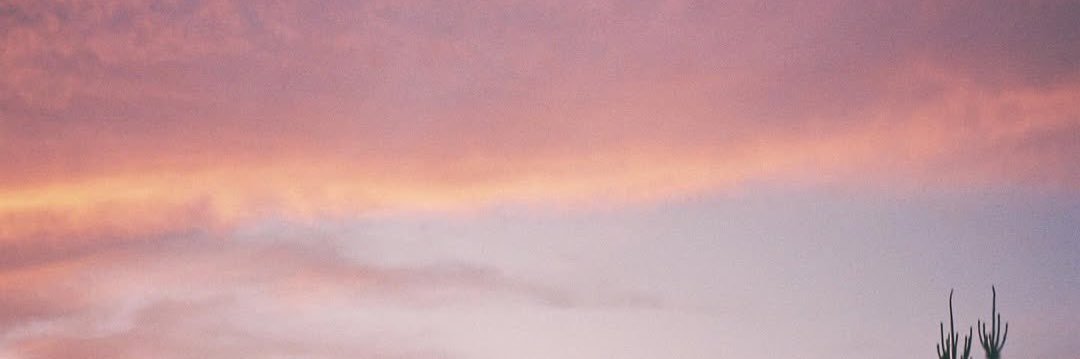 creyleys's profile banner image