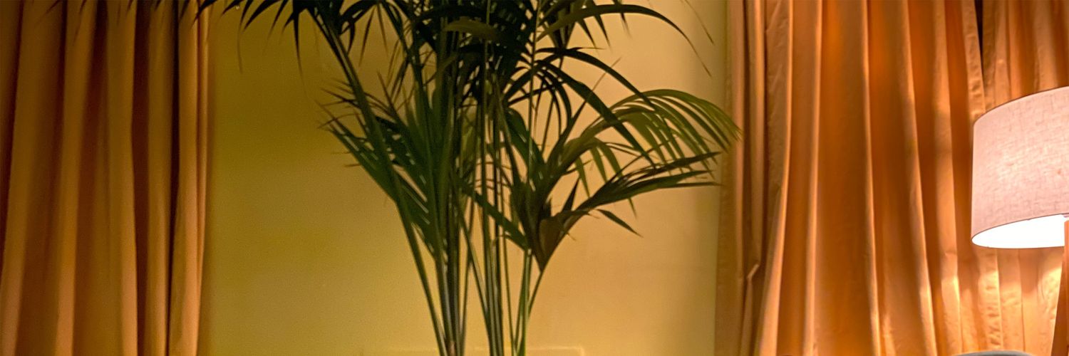 skylintome's profile banner image