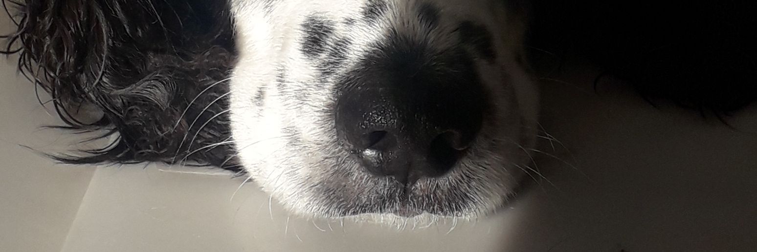 valendepaulo's profile banner image