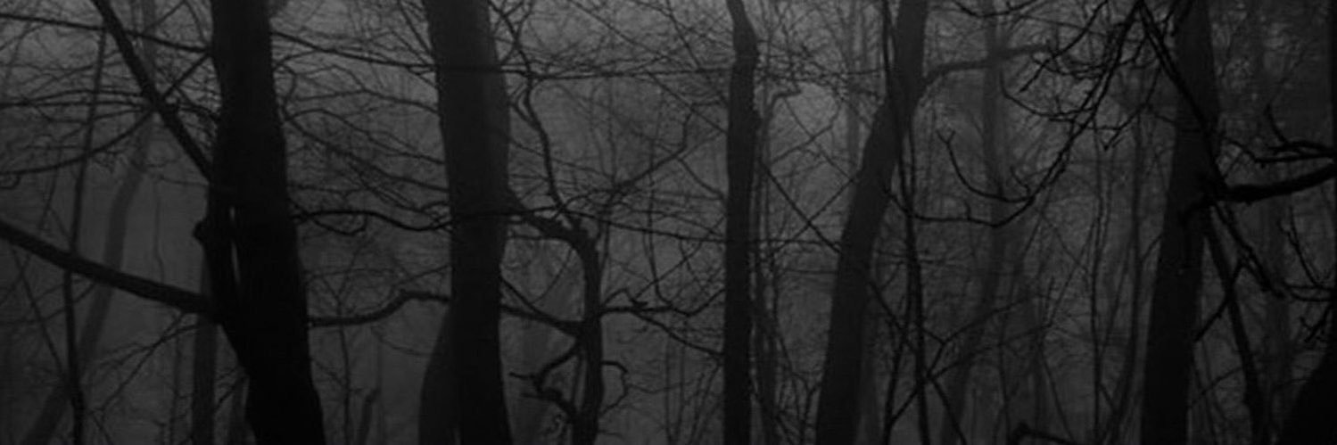 @Qii banner