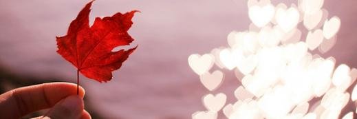 JustItzie's profile banner image