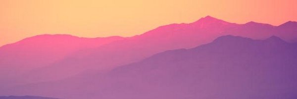 stuffspec Profile Banner