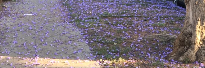 l_whipp's profile banner image