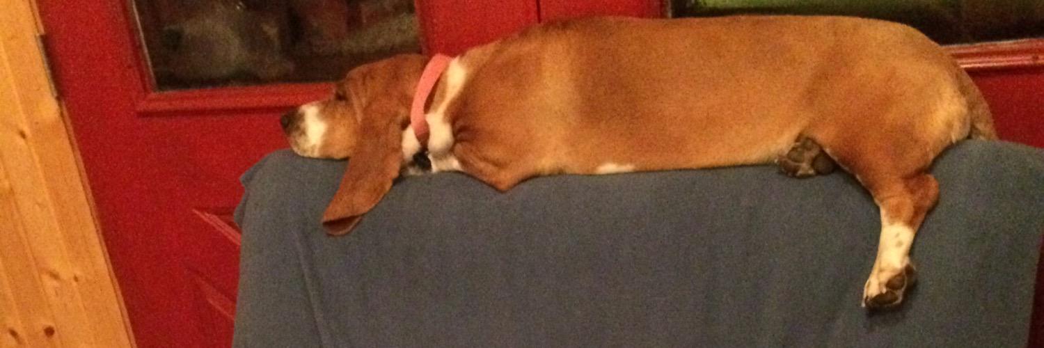 Craig McKechney banner